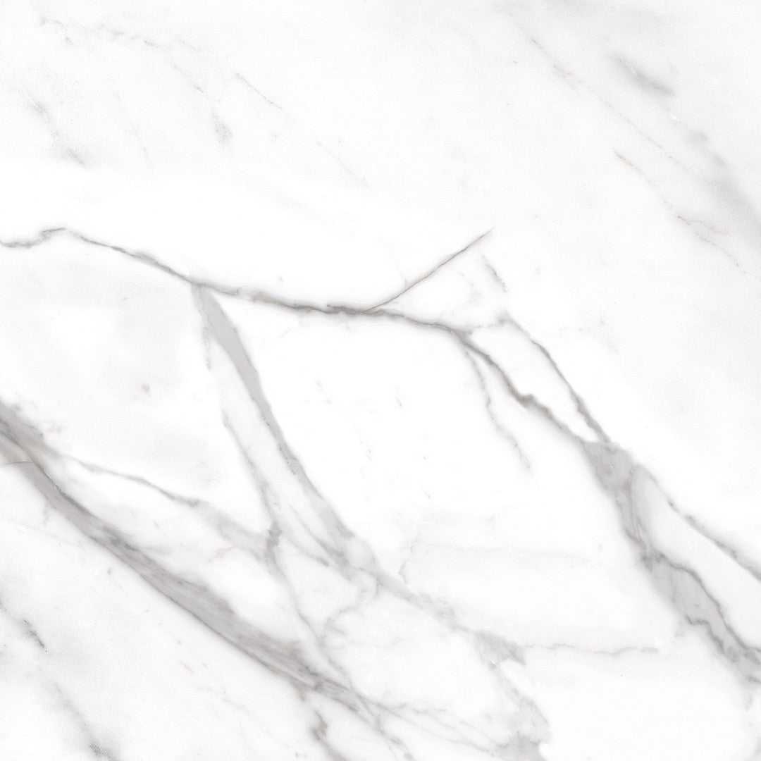 Daltile Platinum 12" x 12" Matte Porcelain Floor Tile, Calacatta Empire, 11.81" x 11.81"
