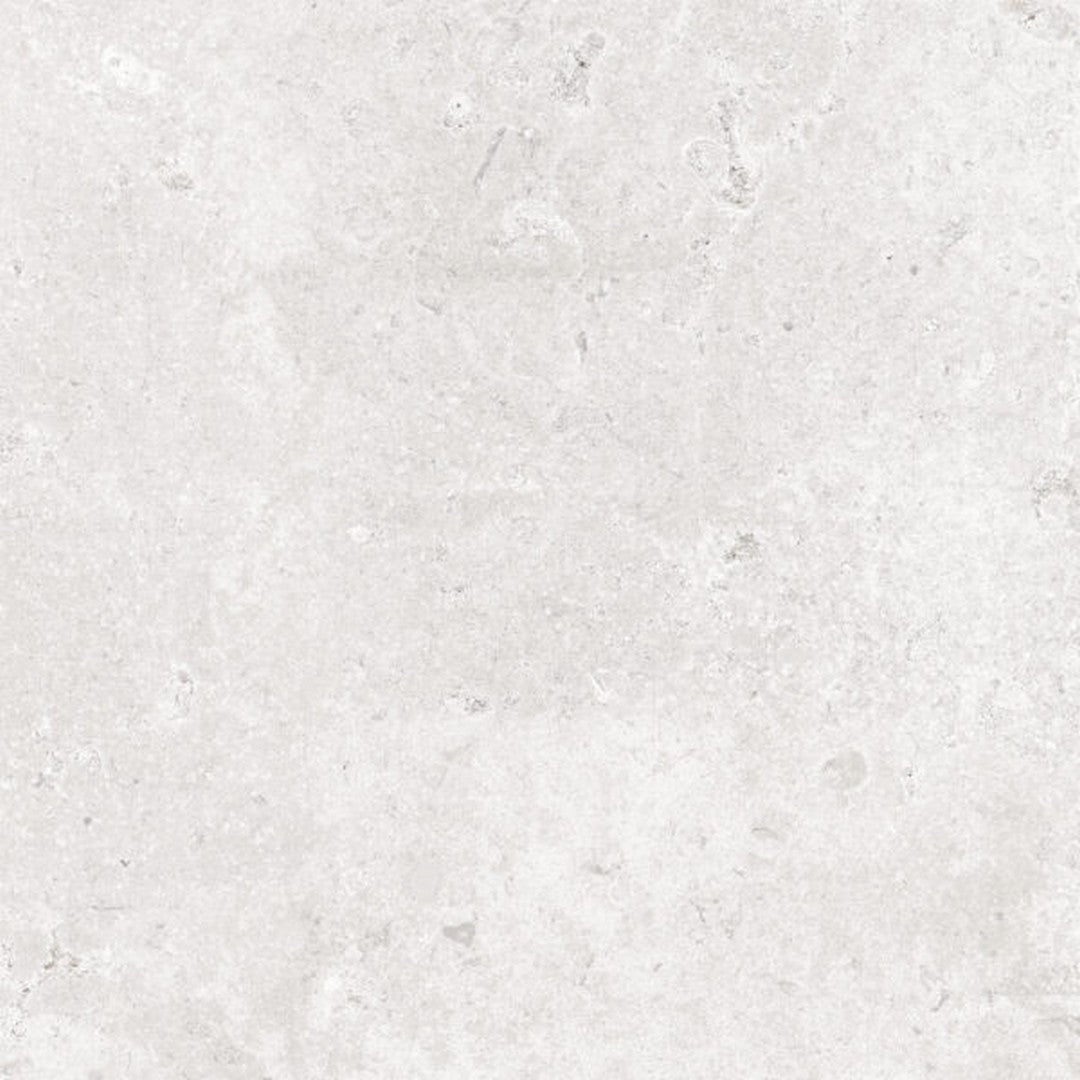 happy-floors-timeless-24-x-24-rectified-natural-porcelain-tile-white
