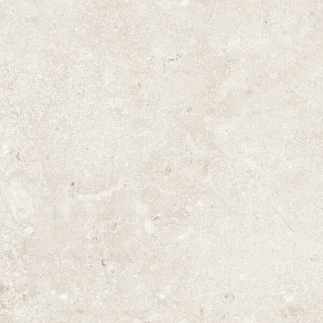 happy-floors-timeless-24-x-24-rectified-natural-porcelain-tile-ivory