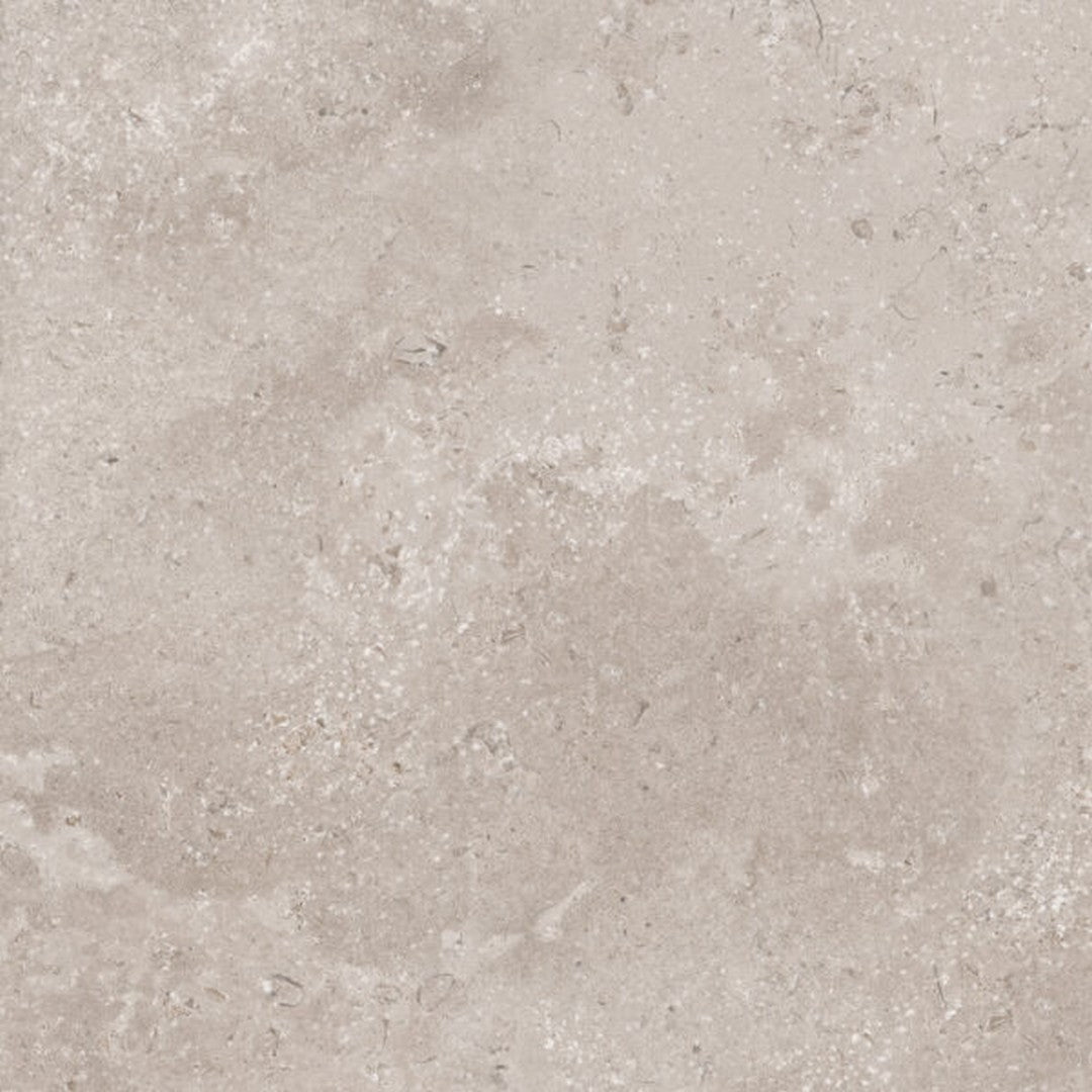 Happy Floors Timeless 24" x 24" Rectified Natural Porcelain Tile, Taupe, 24" x 24"