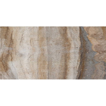 Foresta / 12" x 24"