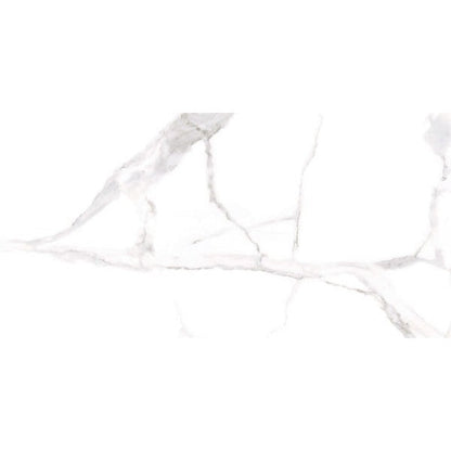 Happy Floors Alsacia 24" x 48" Rectified Matte Porcelain Tile, Natural, 24" x 48"