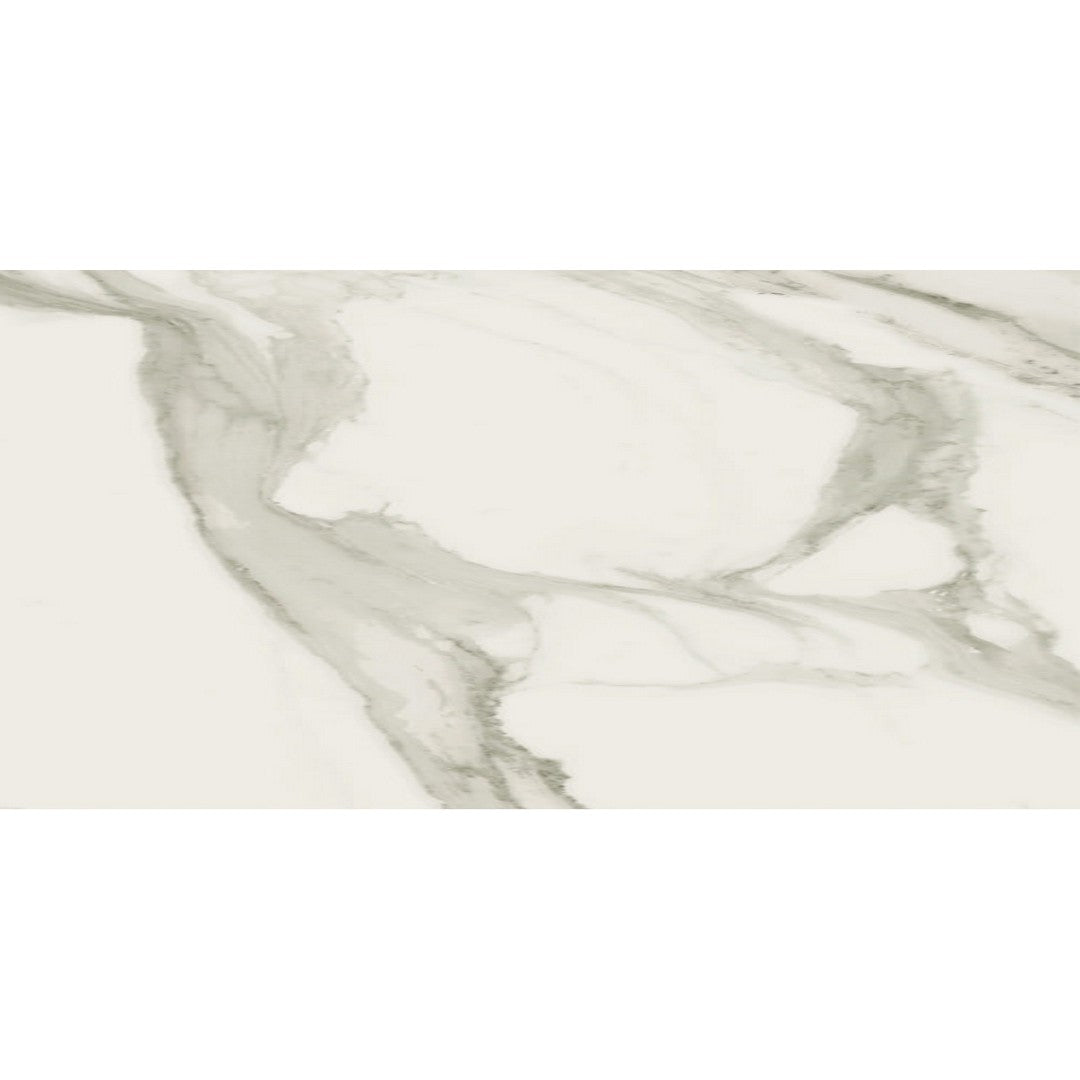 Grigio / 12" x 24"