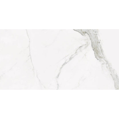 Happy Floors Statuario 12" x 24" Rectified Natural Porcelain Tile, Natural Matte, 12" x 24"