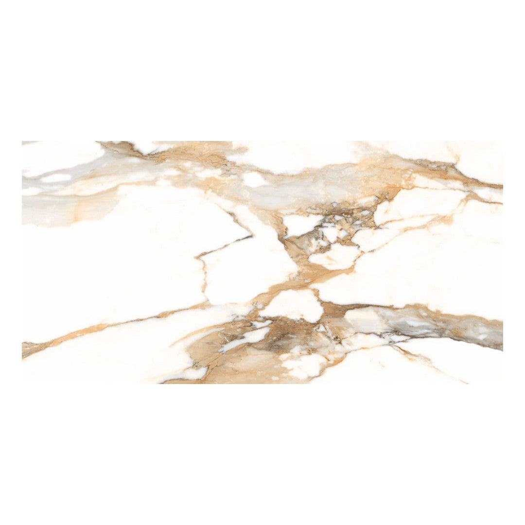 Happy Floors Crash 36" x 72" Rectified Polished Porcelain Tile, Beige, 36" x 72"