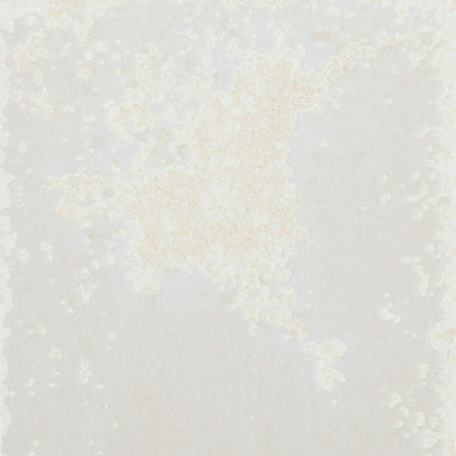 happy-floors-vibrant-6-x-6-glossy-porcelain-wall-tile-grey