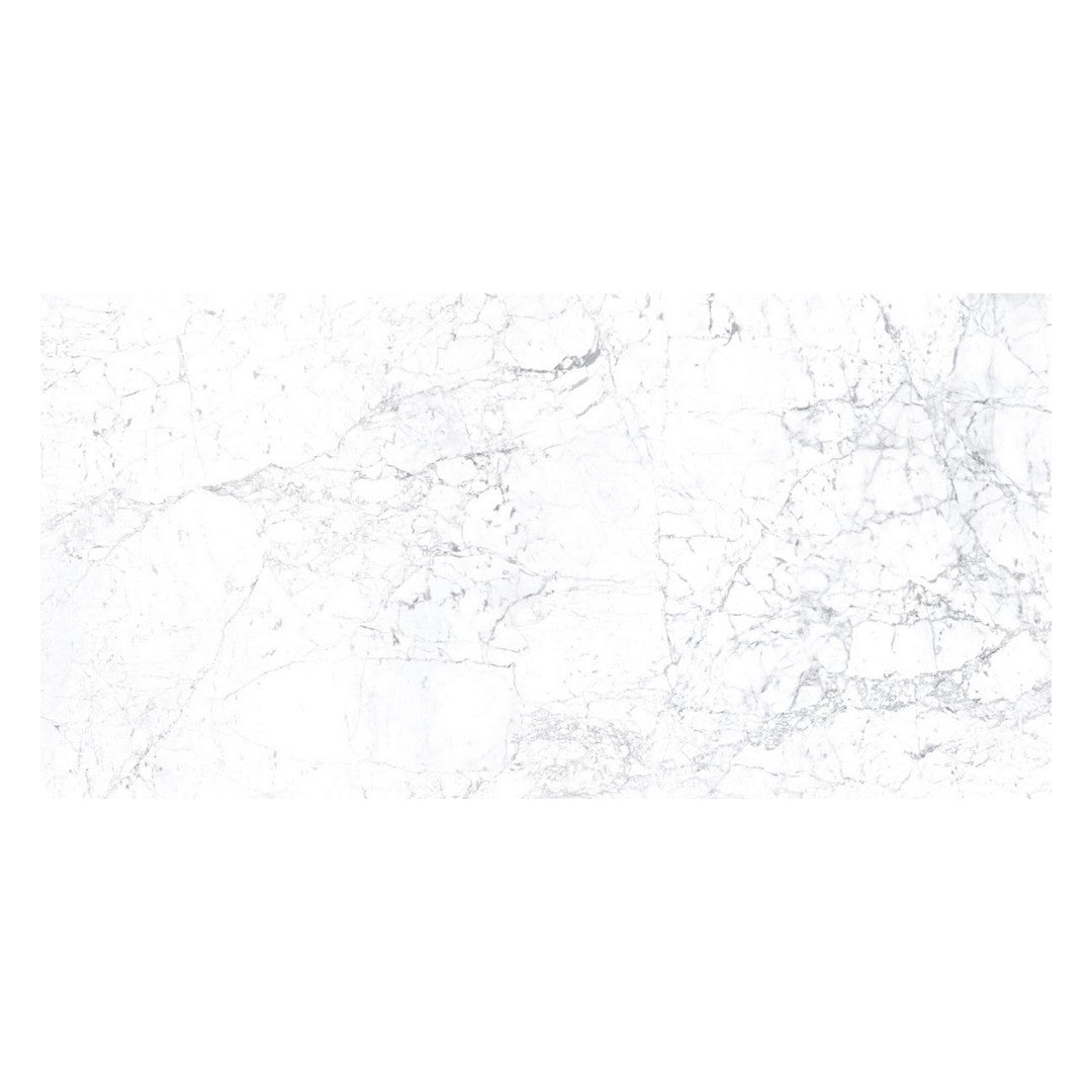 Happy Floors Kobe 24" x 48" Rectified Natural Porcelain Tile, Statuarietto, 24" x 48"