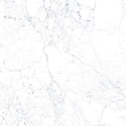 Happy Floors Kobe 24" x 24" Rectified Polished Porcelain Tile, Statuarietto, 24" x 24"