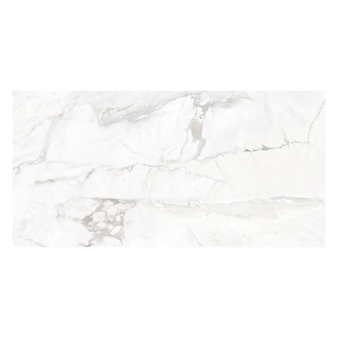 Happy Floors Kobe 24" x 48" Rectified Natural Porcelain Tile, Borghini, 24" x 48"