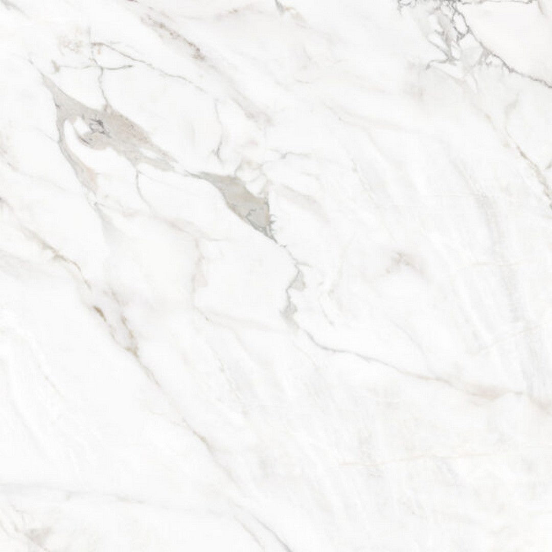 Happy Floors Kobe 24" x 24" Rectified Polished Porcelain Tile, Borghini, 24" x 24"