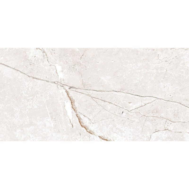 Happy Floors Toscana 24" x 48" Rectified Matte Porcelain Tile