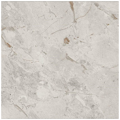 Happy Floors Eva 48" x 48" Polished Rectified Porcelain Tile, Pebble, 48" x 48"