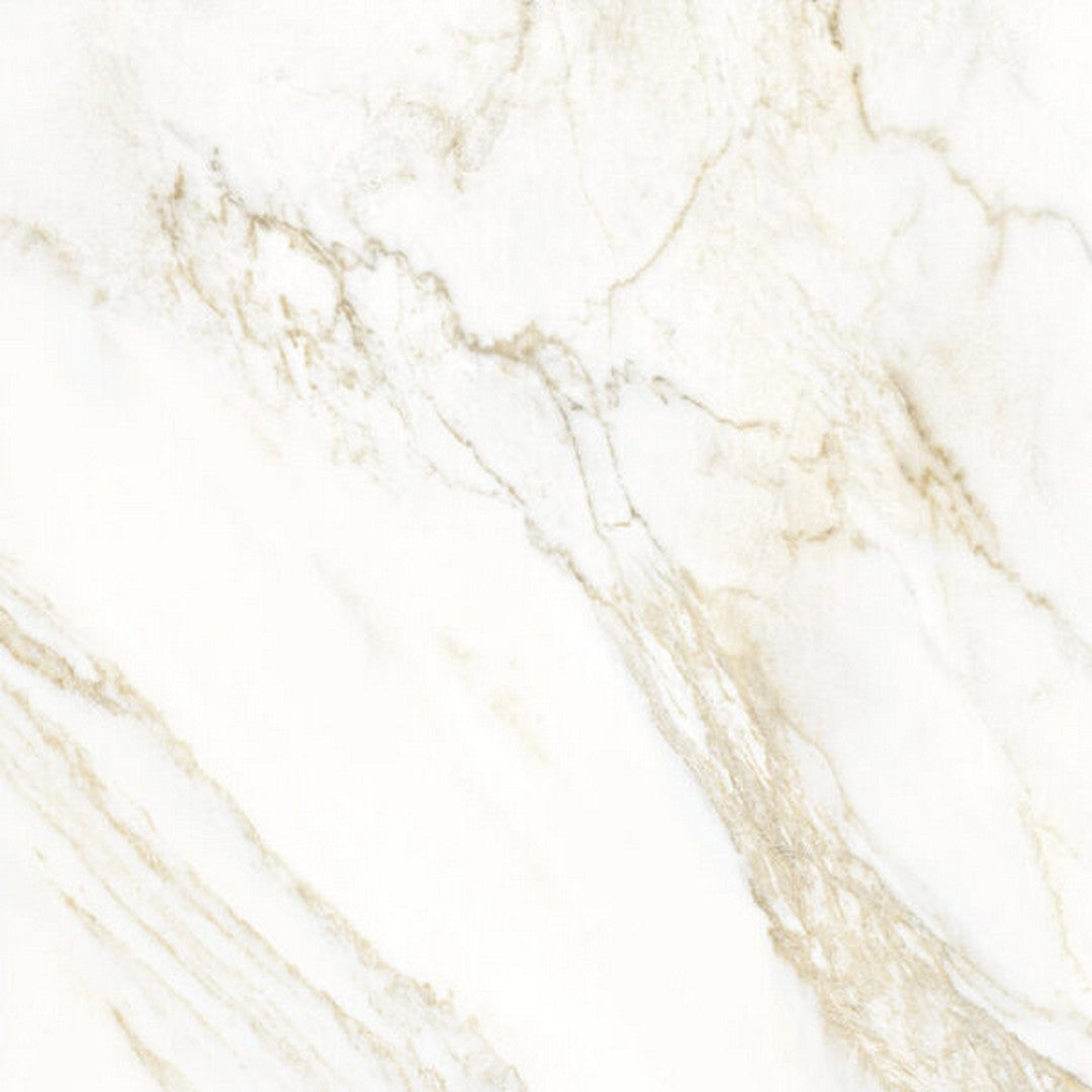 Happy Floors Sublime 2.0 - Glossy 24" x 24" Rectified Porcelain Tile, Dorado, 24" x 24"
