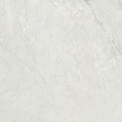 Happy Floors Cardosia 24" x 24" Rectified Natural Porcelain Tile, Sand, 24" x 24"