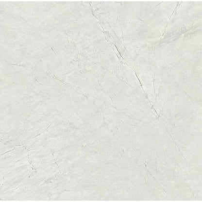 Happy Floors Cardosia 48" x 48" Rectified Natural Porcelain Tile, Sand, 48" x 48"