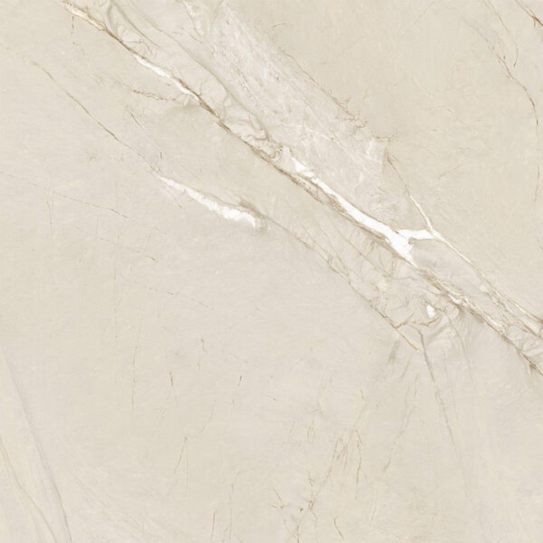 Happy Floors Cardosia 24" x 24" Rectified Natural Porcelain Tile, River Rock, 24" x 24"