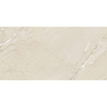 happy-floors-cardosia-24-x-48-rectified-natural-porcelain-tile-river-rock