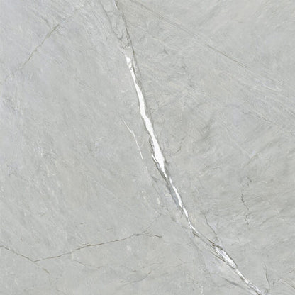 happy-floors-cardosia-24-x-24-rectified-natural-porcelain-tile-soil