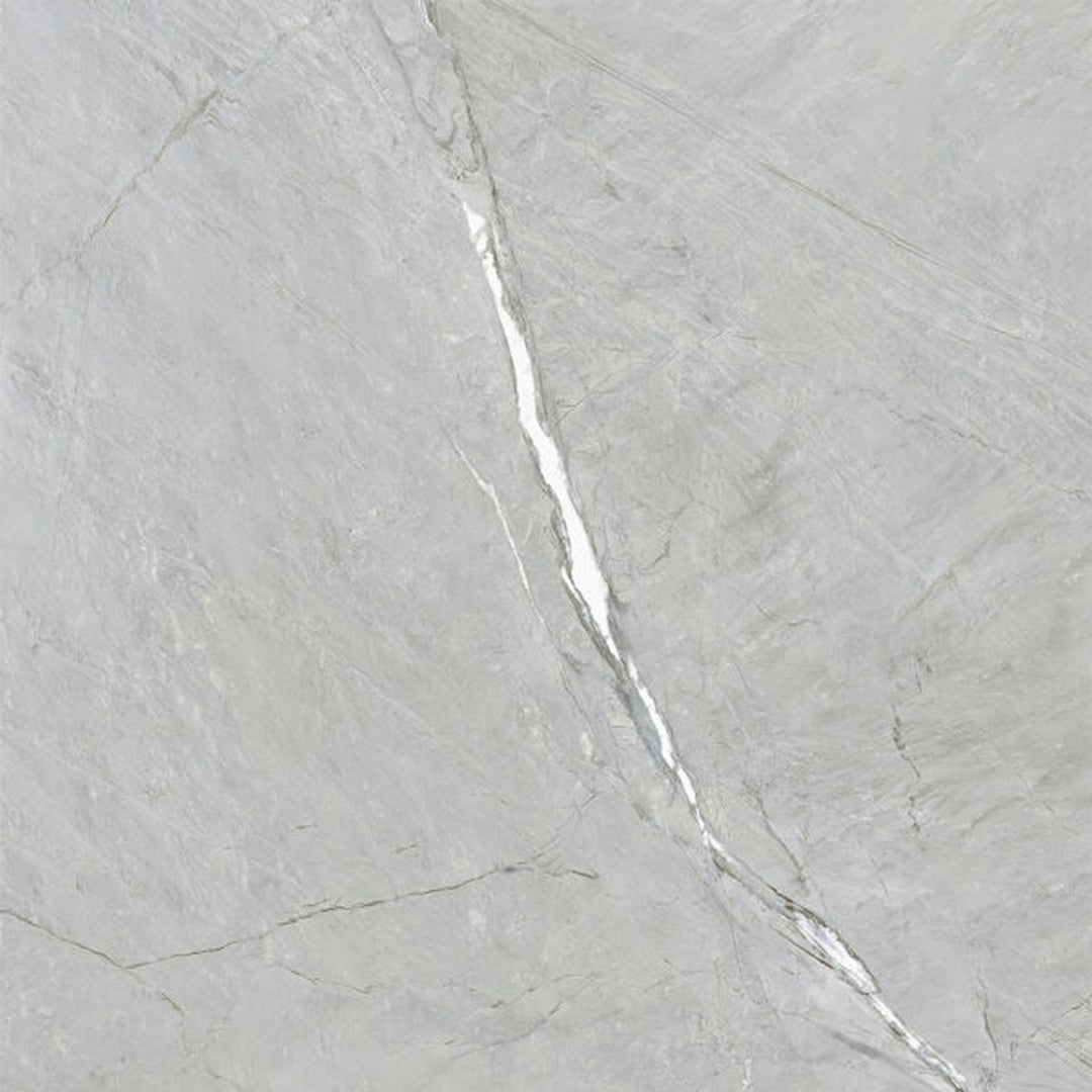 Happy Floors Cardosia 24" x 24" Rectified Natural Porcelain Tile, Pebble, 24" x 24"