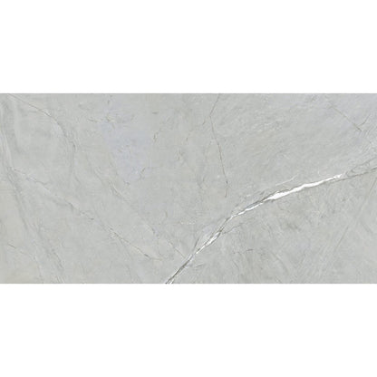 Happy Floors Cardosia 24" x 48" Rectified Natural Porcelain Tile, Pebble, 24" x 48"