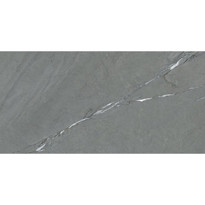 Happy Floors Cardosia 24" x 48" Rectified Natural Porcelain Tile, Soil, 24" x 48"