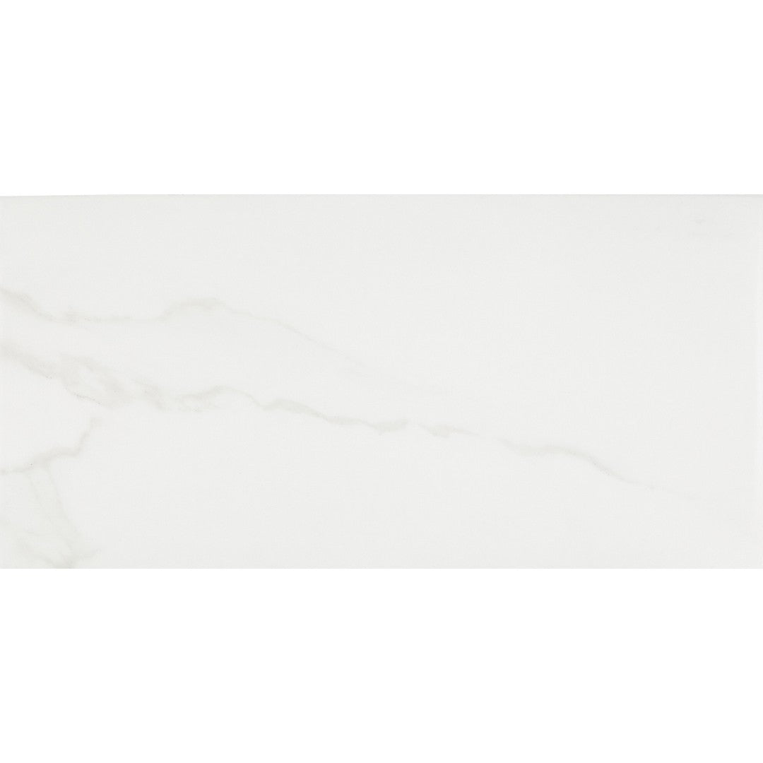 Daltile Artsy 12" x 24" Polished Glazed Porcelain Floor Tile, Studio Carrara, 11.62" x 23.37"