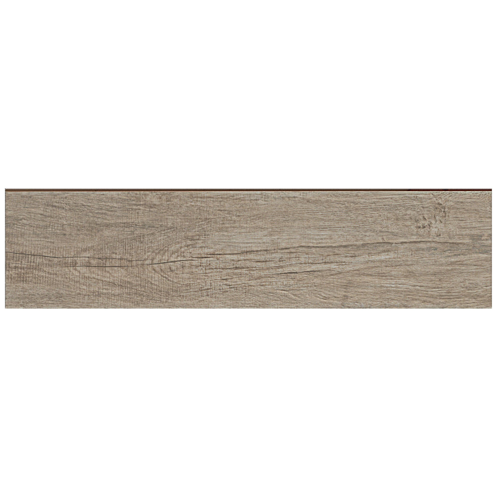 Tortora / 12" x 48"