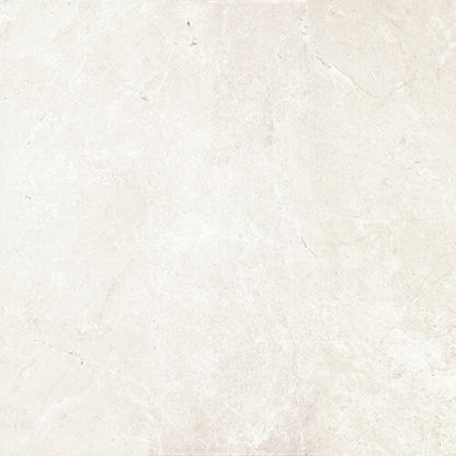 Happy Floors Arona 24" x 24" Rectified Natural Porcelain Tile, Bianco, 24" x 24"