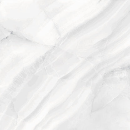 Happy Floors Athena 24" x 24" Rectified Natural Porcelain Tile, Blanc, 24" x 24"