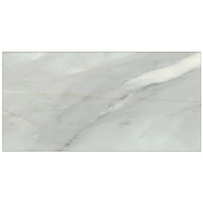 Happy Floors Bardiglio 16" x 32" Rectified Natural Porcelain Tile, Grigio, 16" x 32"