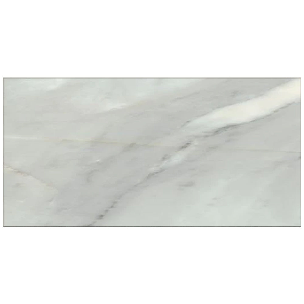 Happy Floors Bardiglio 16" x 32" Rectified Polished Porcelain Tile, Grigio, 16" x 32"