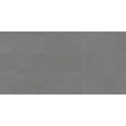 Daltile Calgary 24" x 48" Polished Porcelain Floor Tile, Armor, 23.37" x 47.87"
