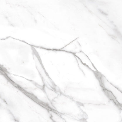 Daltile Platinum 12" x 12" Matte Porcelain Floor Tile, Calacatta Empire, 11.81" x 11.81"