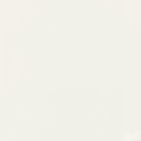 Daltile Pure 12" x 24" Rectified Matte Porcelain Floor Tile, Frost White, 11.75" x 23.62"