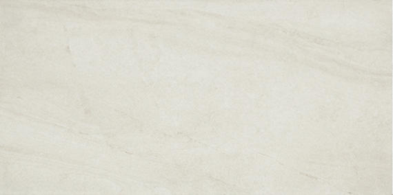 Daltile Wanderwise 12" x 24" Matte Porcelain Floor Tile, Swan, 11.87" x 23.68"