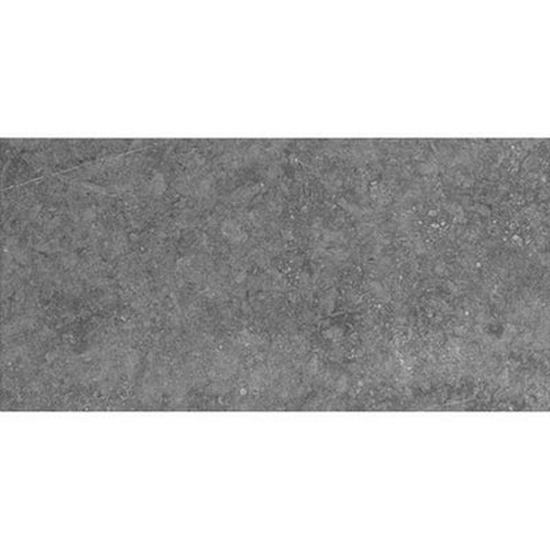 Daltile Diplomacy 12" x 24" Rectified Matte Porcelain Floor Tile, Light Grey, 11.68" x 23.43"