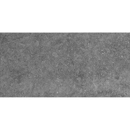 Daltile Diplomacy 12" x 24" Rectified Matte Porcelain Floor Tile, Light Grey, 11.68" x 23.43"