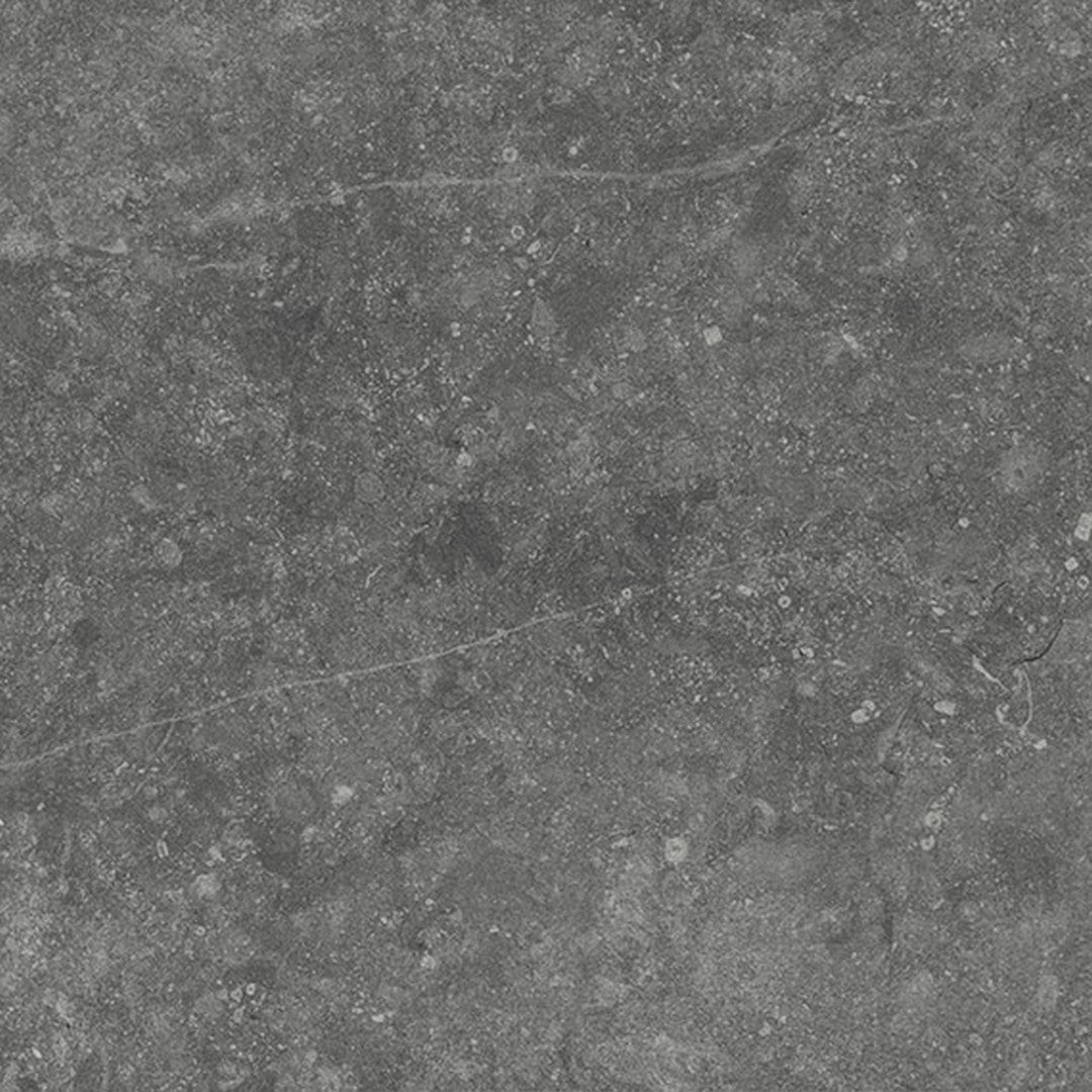 Daltile Diplomacy 24" x 24" Rectified Matte Porcelain Floor Tile, Medium Grey, 23.43" x 23.43"