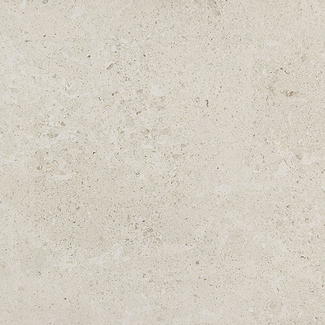 Daltile Dignitary 24" x 24" Rectified Matte Porcelain Floor Tile, Luminary White, 23.37" x 23.37"