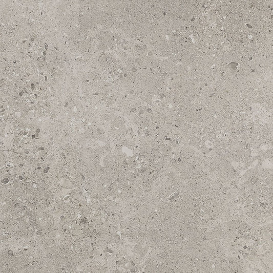 Daltile-Dignitary-24-x-24-Rectified-Matte-Porcelain-Floor-Tile-Superior-Taupe
