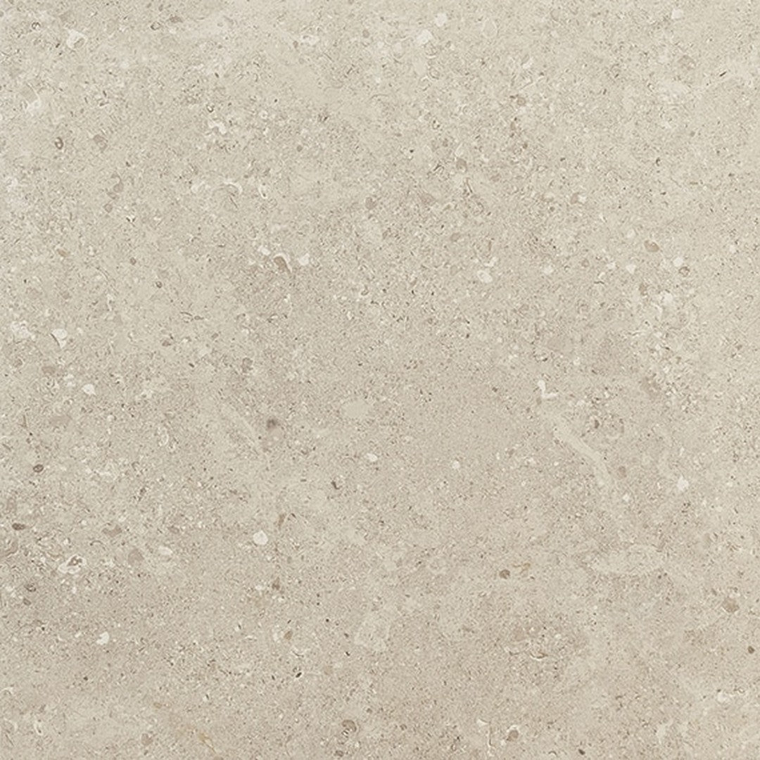 Daltile-Dignitary-24-x-24-Rectified-Matte-Porcelain-Floor-Tile-Notable-Beige