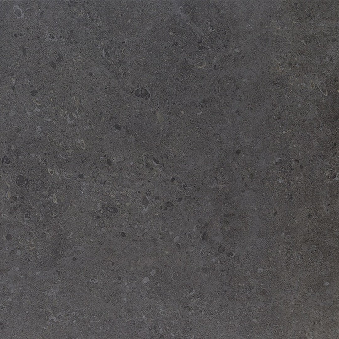 Daltile Dignitary 24" x 24" Rectified Matte Porcelain Floor Tile, Governor Black, 23.37" x 23.37"