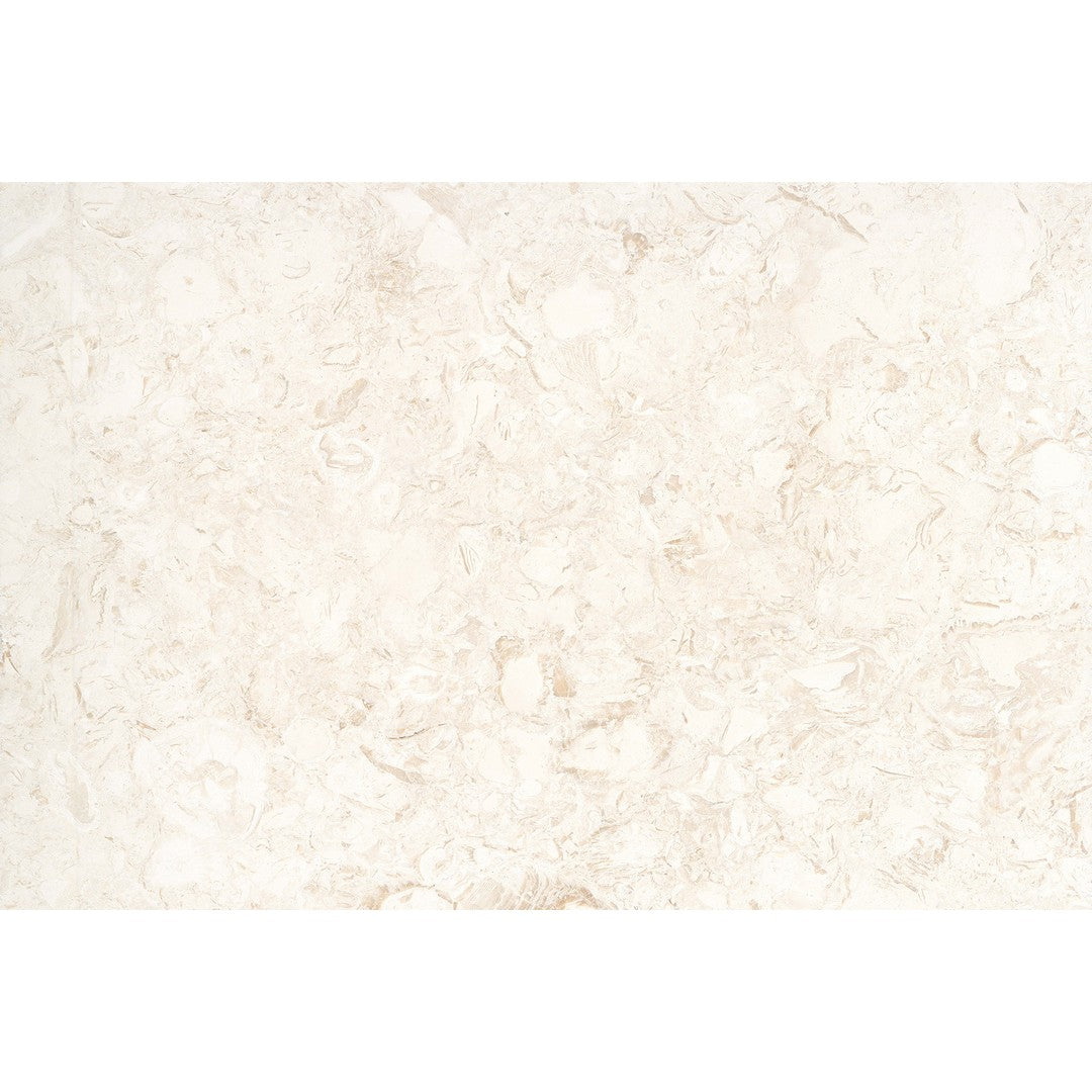 Emser Extero 16" x 24" Tumbled Limestone 3CM Paver, Shell Brushed, 16" x 24"