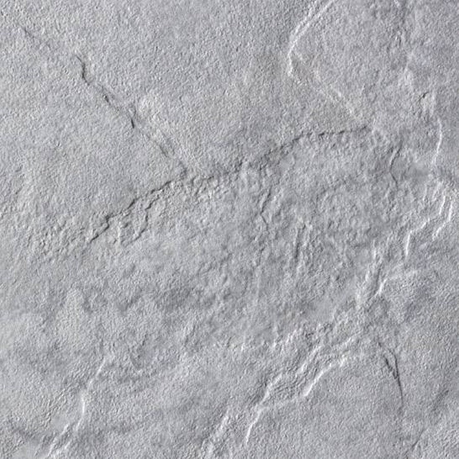 Happy Floors Eternity 12" x 12" Pressed Natural Porcelain Tile, Grey, 12" x 12"