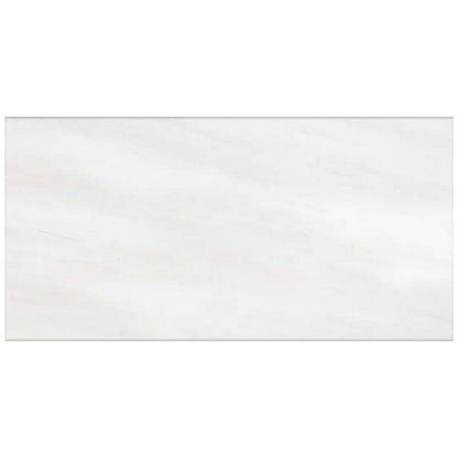 White / 12" x 24"