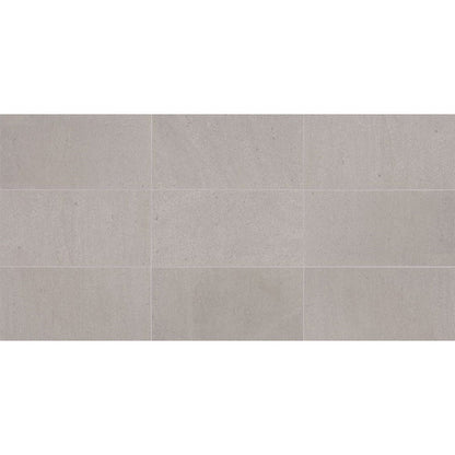 Demure Gray / 12" x 24"