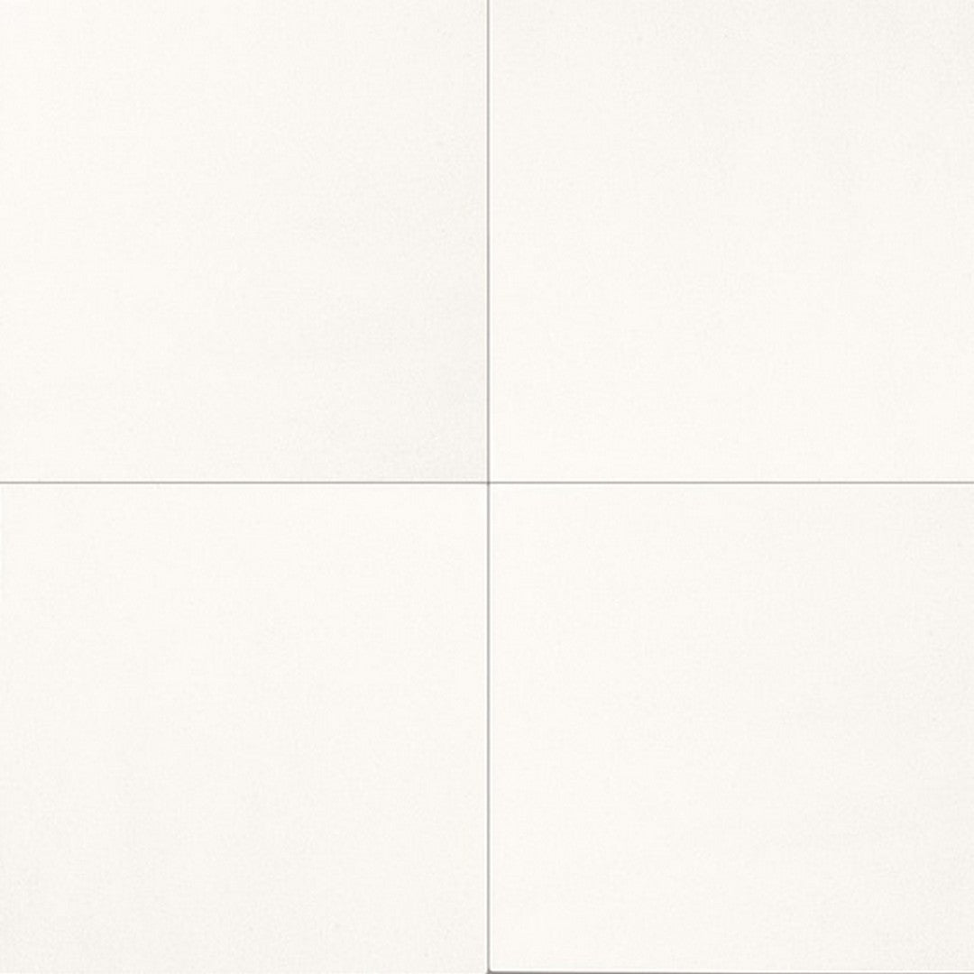 Thassos White / 12" x 12"