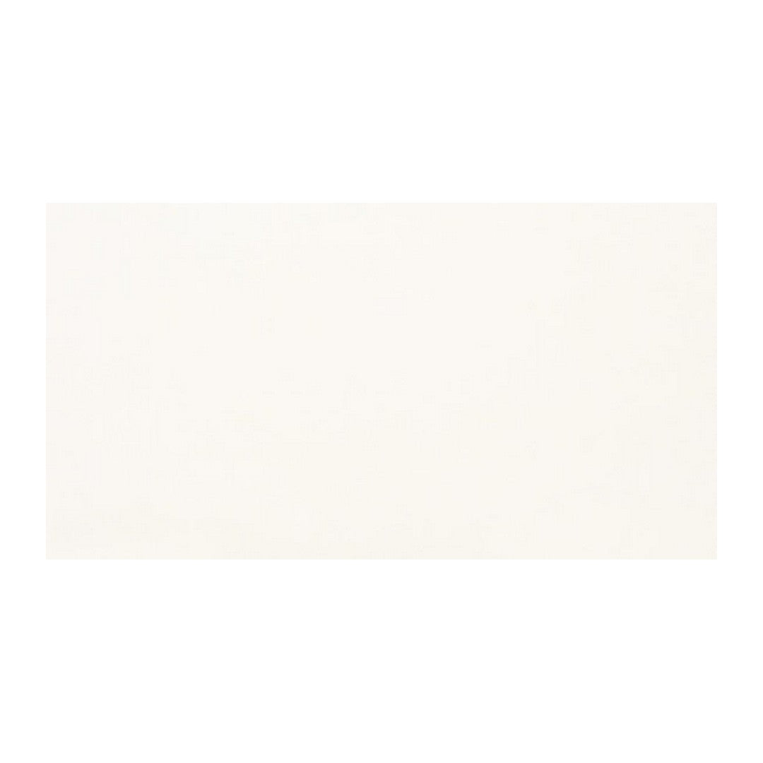 Thassos White / 12" x 24"