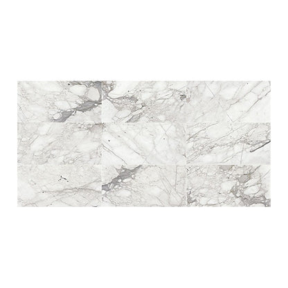 Venetian Calacatta / 3" x 6"