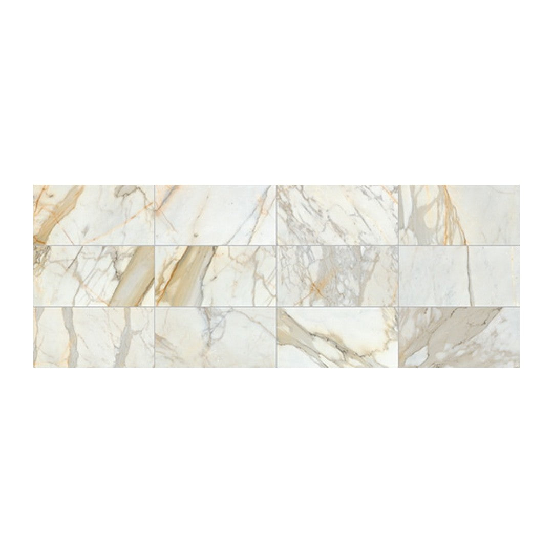 Calacatta Gold / 12" x 24"
